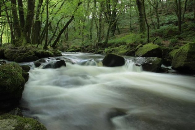 Waterval in Redu