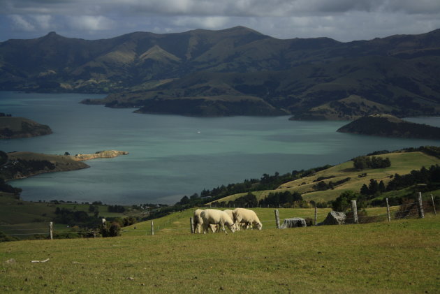 Banks Peninsula