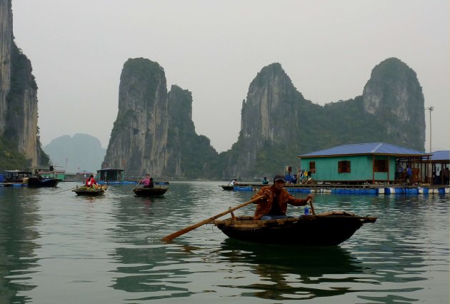 Halong bay