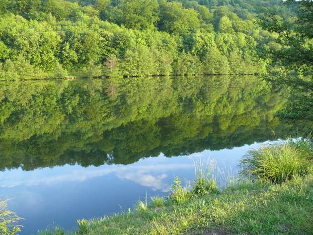 Spiegeling in de Moezel