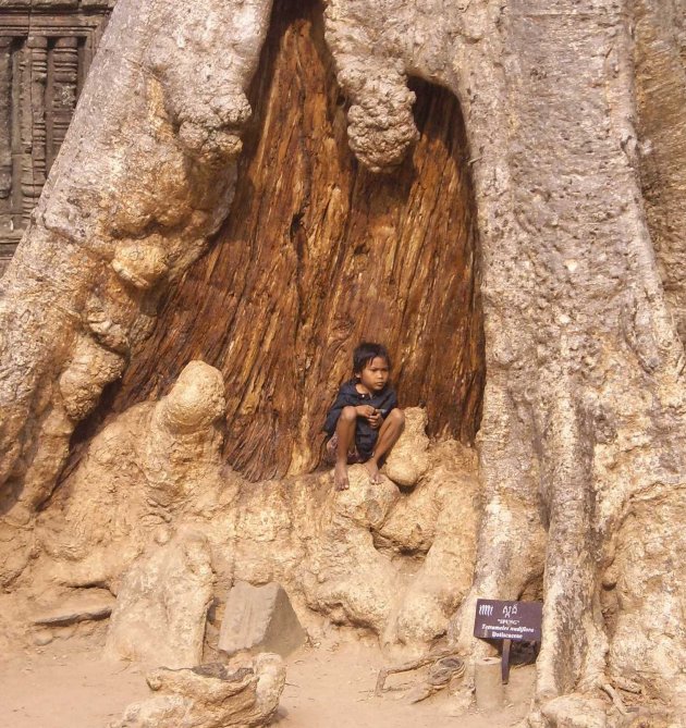 Local jongetje rust uit in boom. Angkor Wat - Siem Raep - Cambodja 