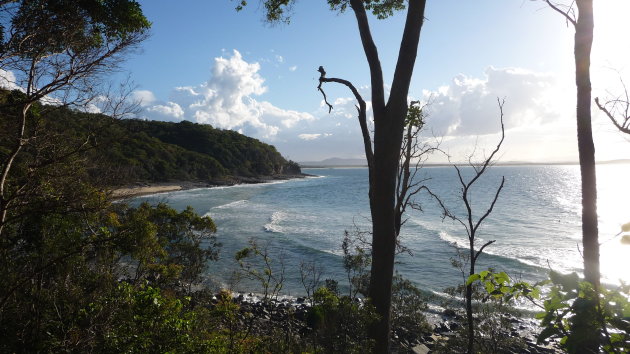 Noosa National Park