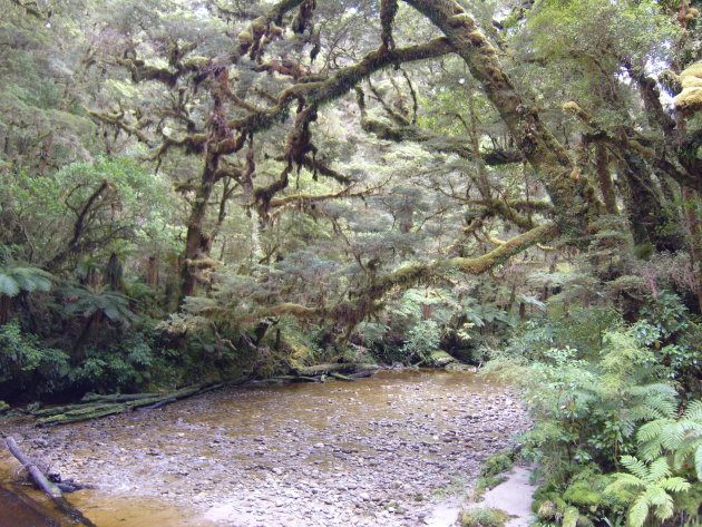 Karamea, Kahurangi National Park