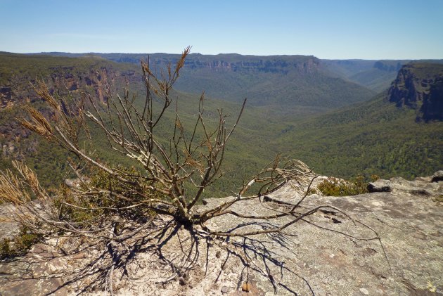 The Blue Mountains