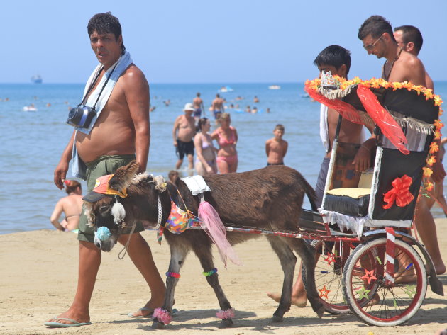 Op een dag aan het strand