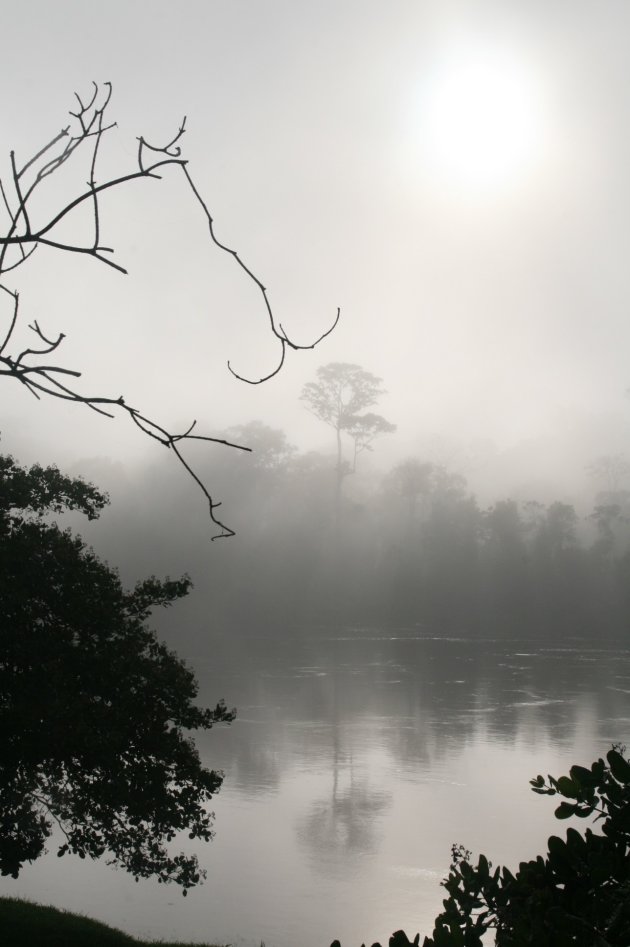 zonsopgang in de mist