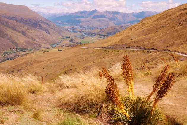 Uitzicht op Queenstown