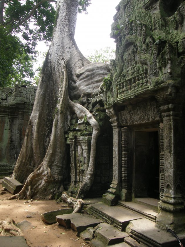 Ta Prohm