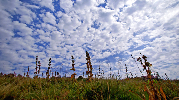 Op de berg - dynamiek in lucht en landschap