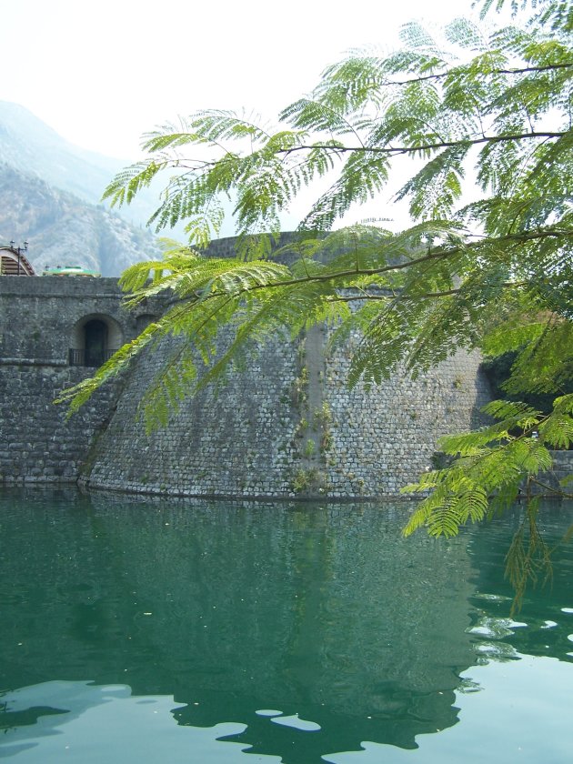 Vestigingmuur Kotor