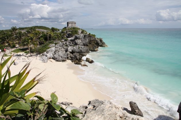 Leguaan bij de Maya-ruïnes van Tulum