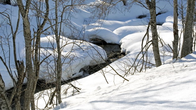 Beekje in besneeuwd landschap