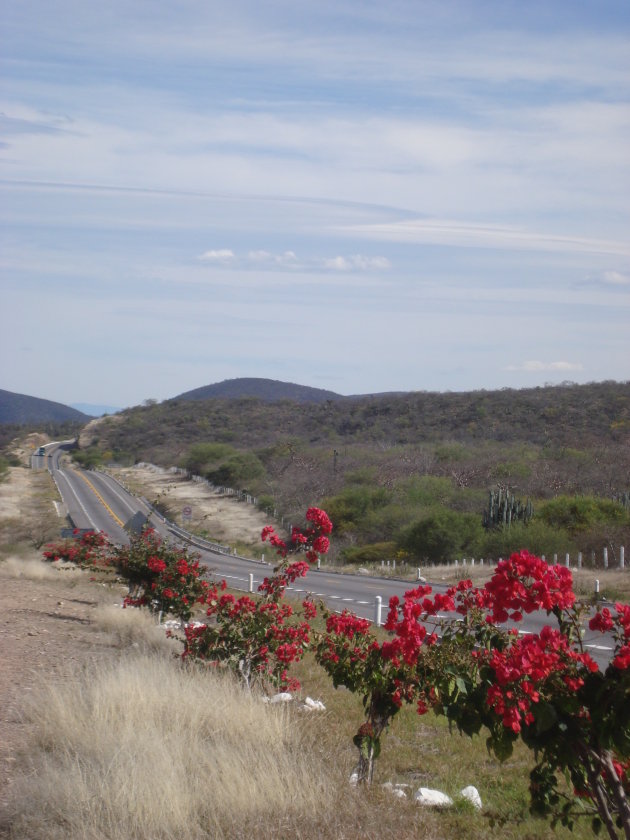 weg bij Oaxaca