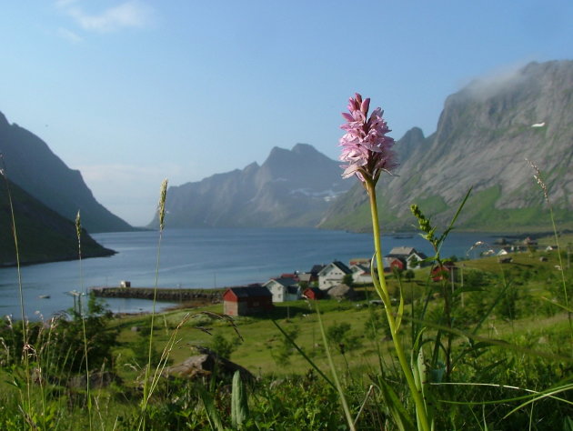 Zicht op de Kjerkefjord (Lofoten), met het gelijknamige dorp