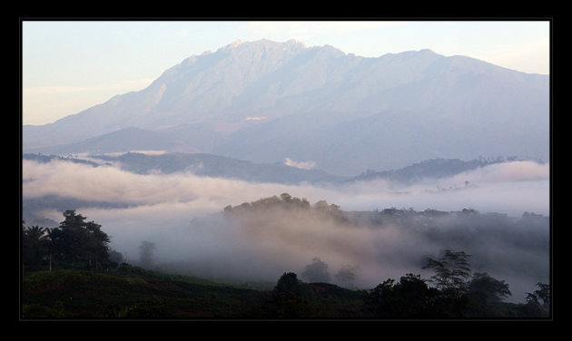 Morning mist