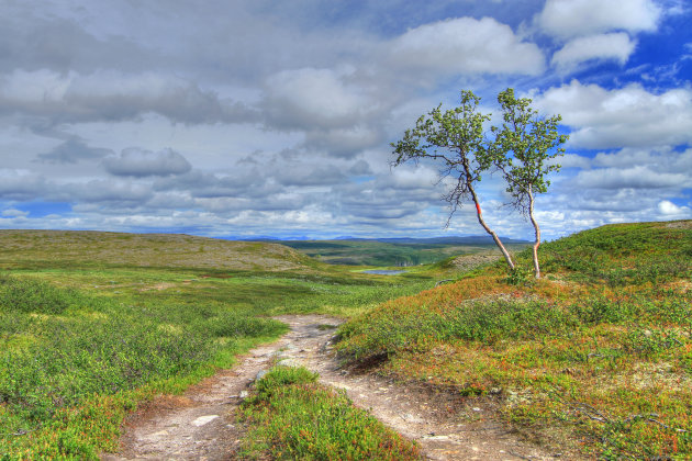 Uitgestrekte Finnmarkvidda