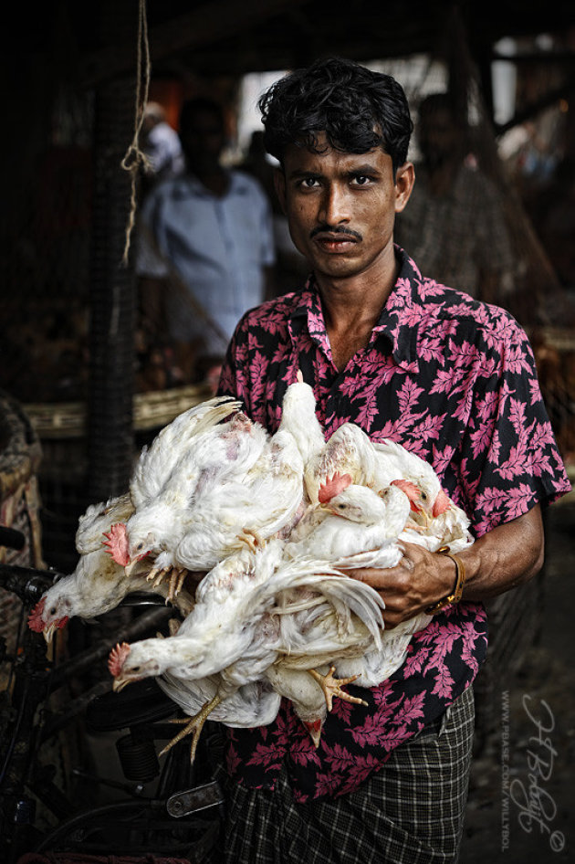 Dhaka's slachterij Eid-al-Hadha