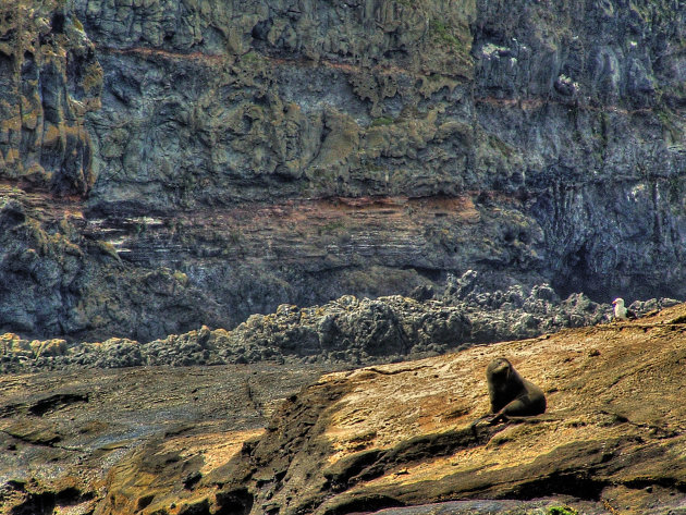 Banks peninsula