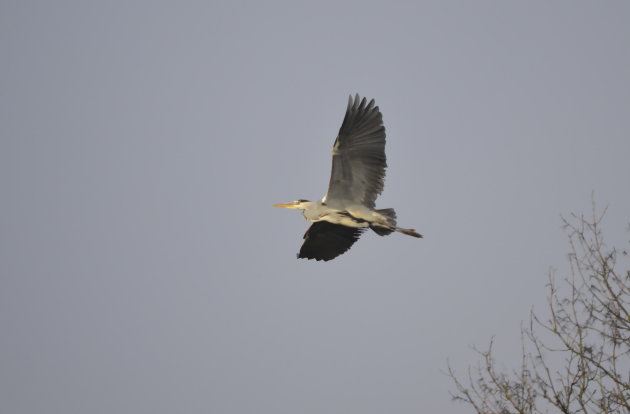 Hoog in de lucht.