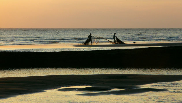 Pulling out the nets