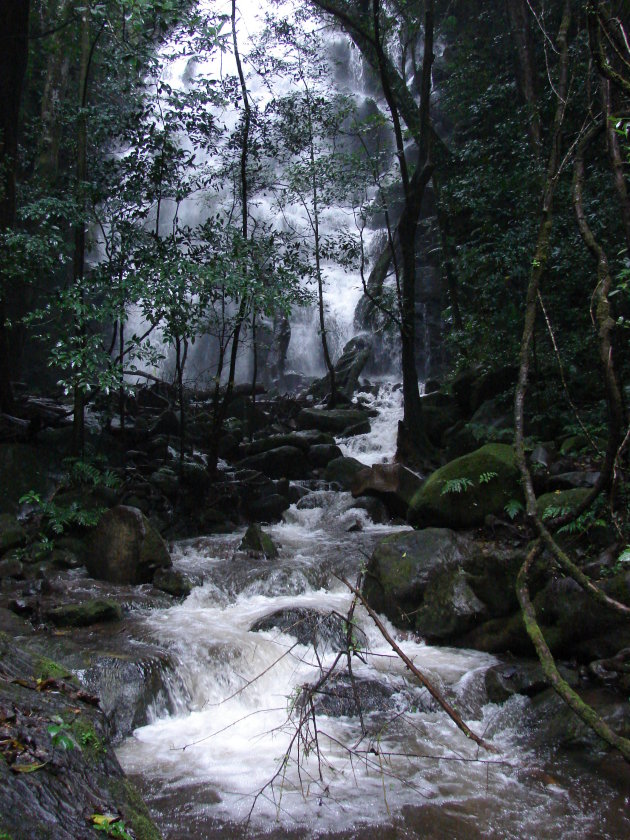 Waterval in de bossen