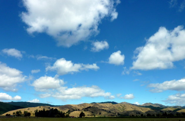 Marlborough