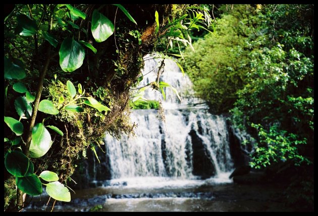 Purakaunui Falls 