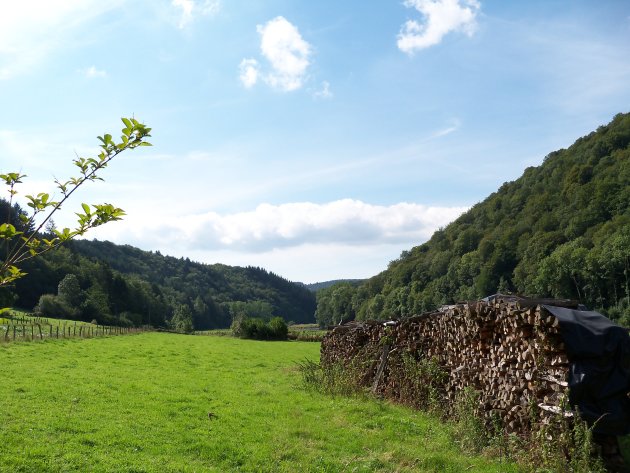 Typisch plaatje van de Belgische Ardennen