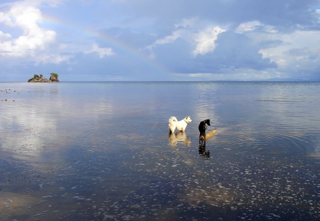 regenbooggeluk van twee dikke vrienden