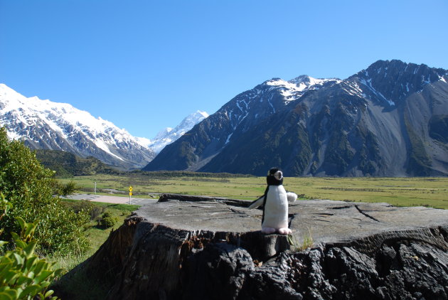 Happy feet bij Mount Cook