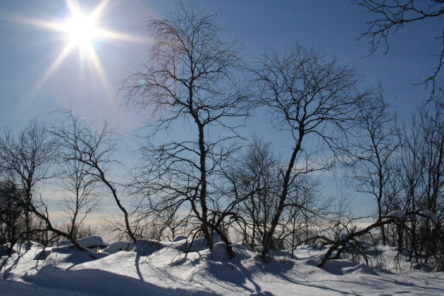 Winterzonnetje