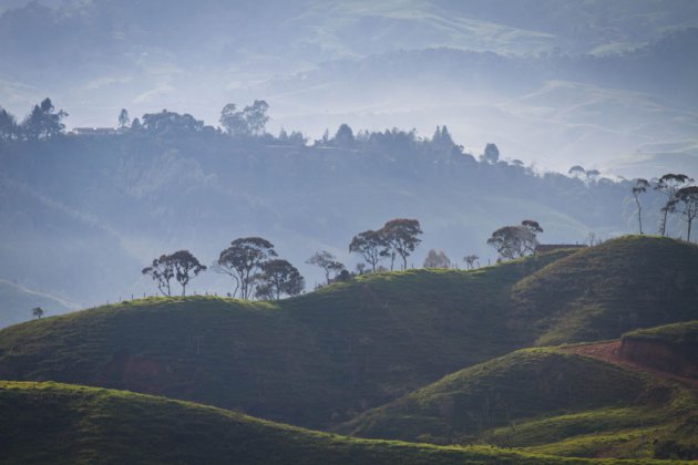 Heuvels rond Medellin