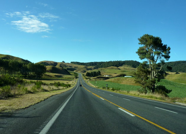 Blik op de weg