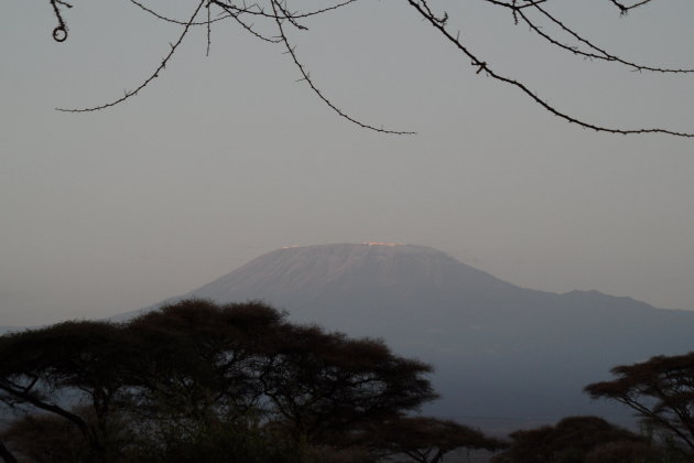 Kilimanjaro