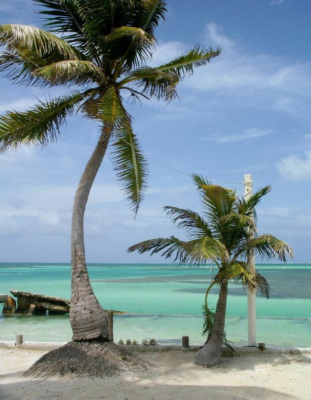 Caye Caulker