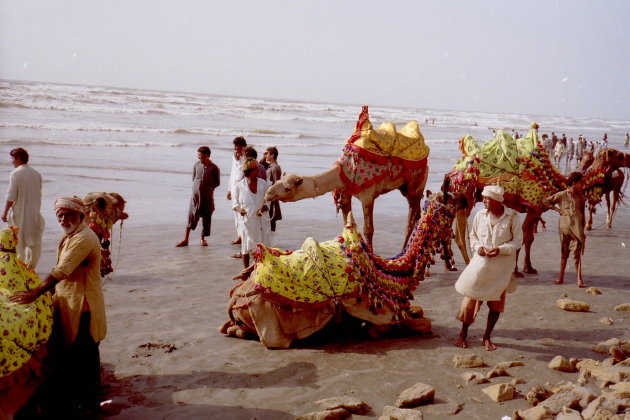 Kamelen aan het strand Karachi