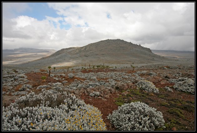 Sanetti plateau