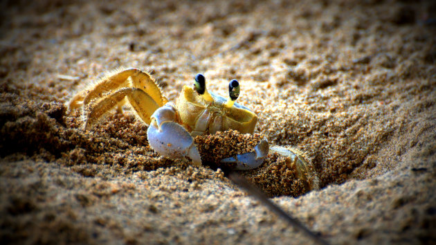 zand in mijn oogje