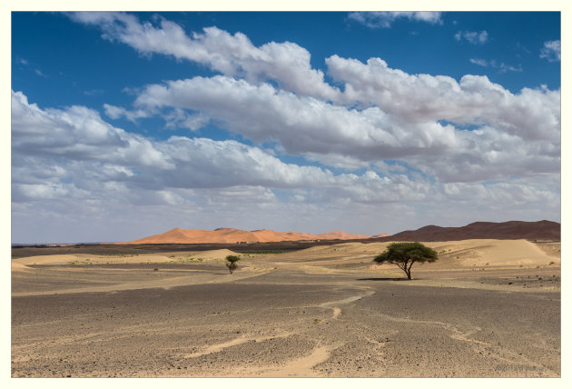 De kleuren van Erg Chebbi