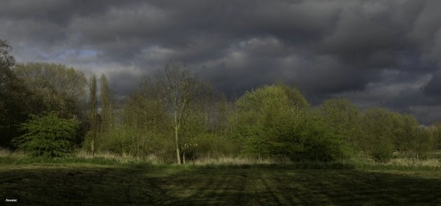 avondlandschap met regenwolken