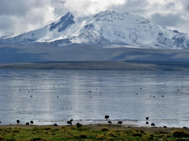 Lago Chungara