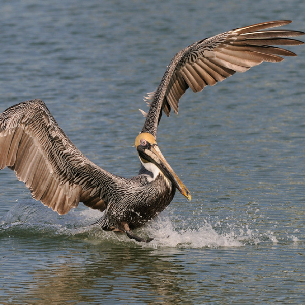 '358571' door Harry-Eggens