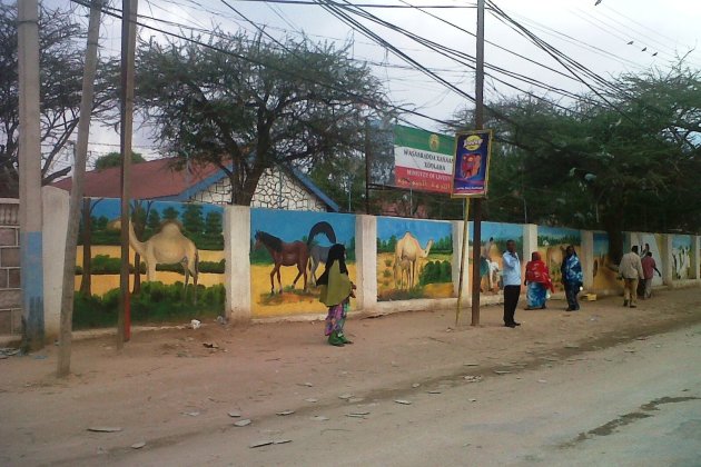 Het fleurige straatbeeld van Somaliland, Hargeisa