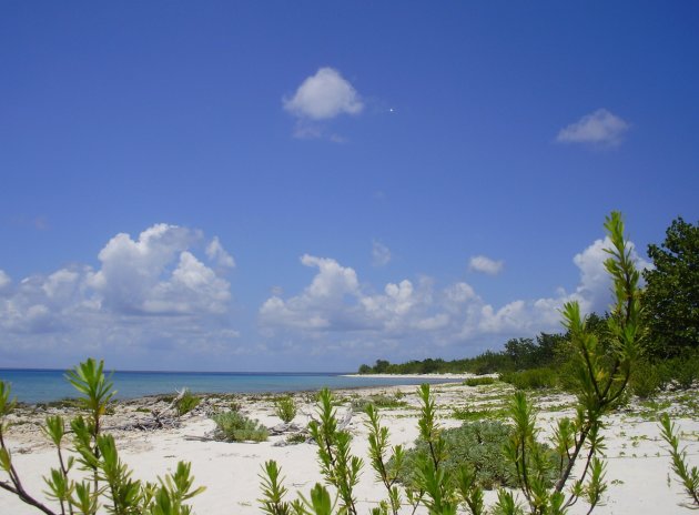 Playa María la Gorda