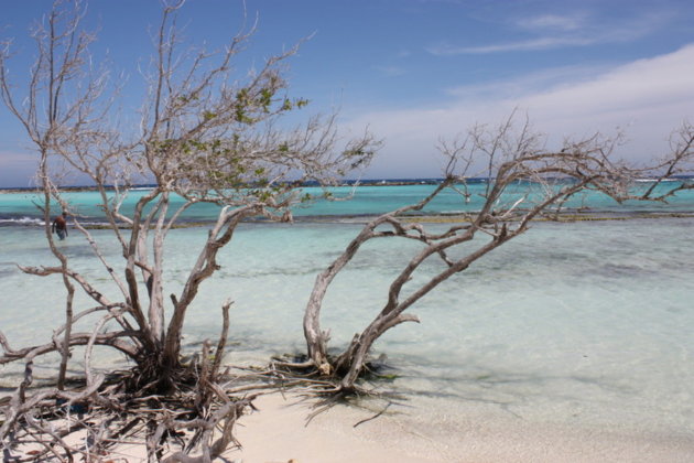 Aruba Baby Beach