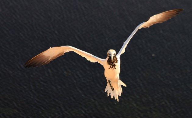 Aanvliegroute Helgoland