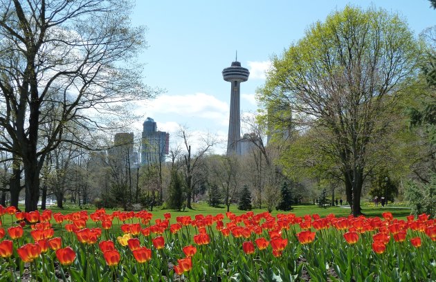 Skylon Tower