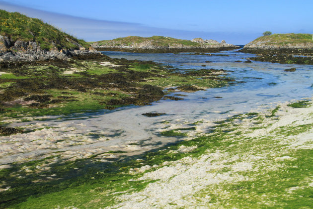 Fjord-Andenes