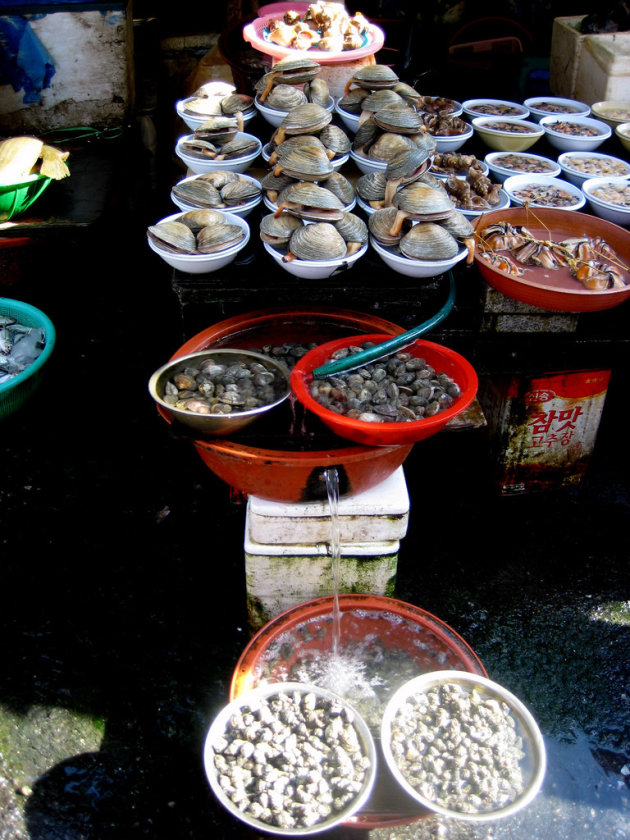 Piles of shells