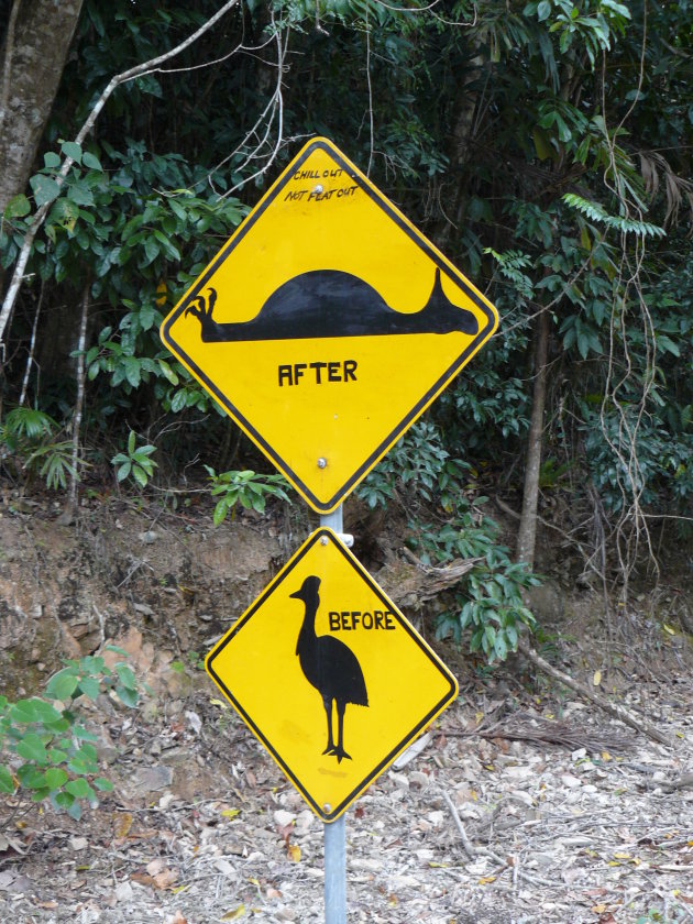 From speed bump to flat cassowary ;)